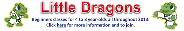 little dragons Jan 2013 banner ad